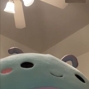 Meet your Posher, Reagan